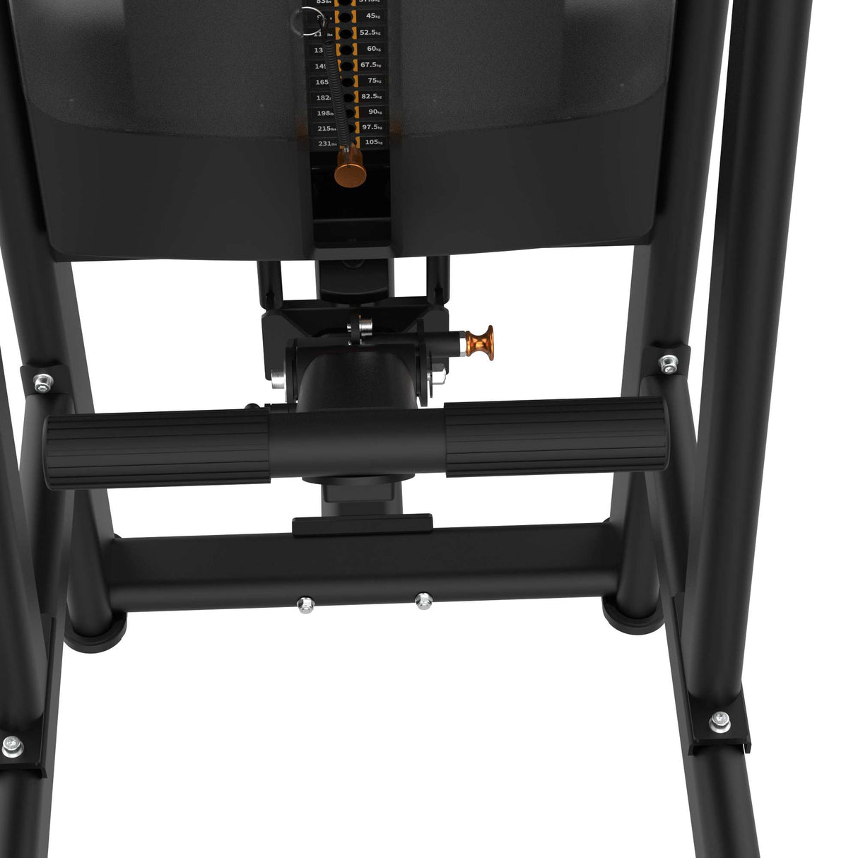 Assisted Chin & Dip IRONSIDE Luxe