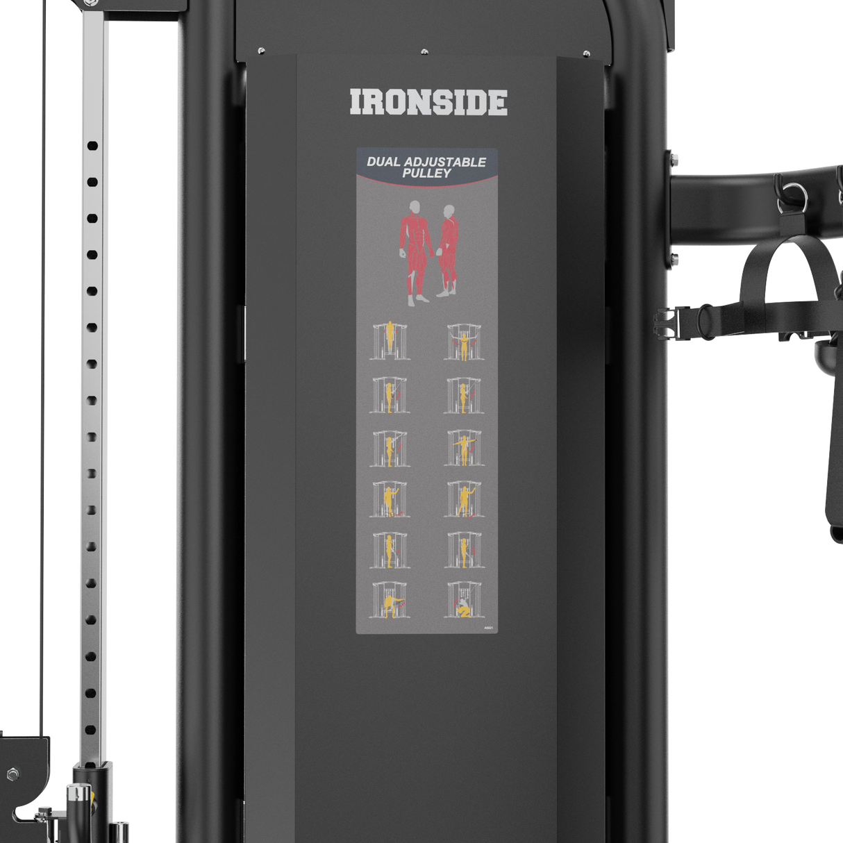 Polea Doble Ajustable IRONSIDE Luxe