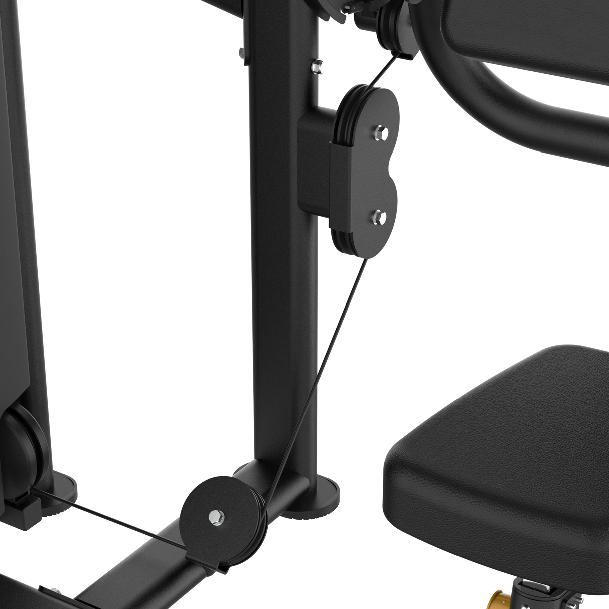 Dual Biceps & Triceps Machine IRONSIDE Luxe