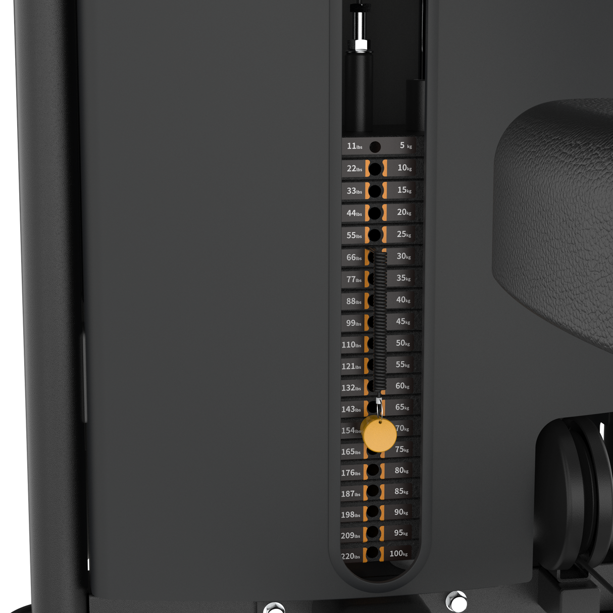 Dual Biceps & Triceps Machine IRONSIDE Luxe