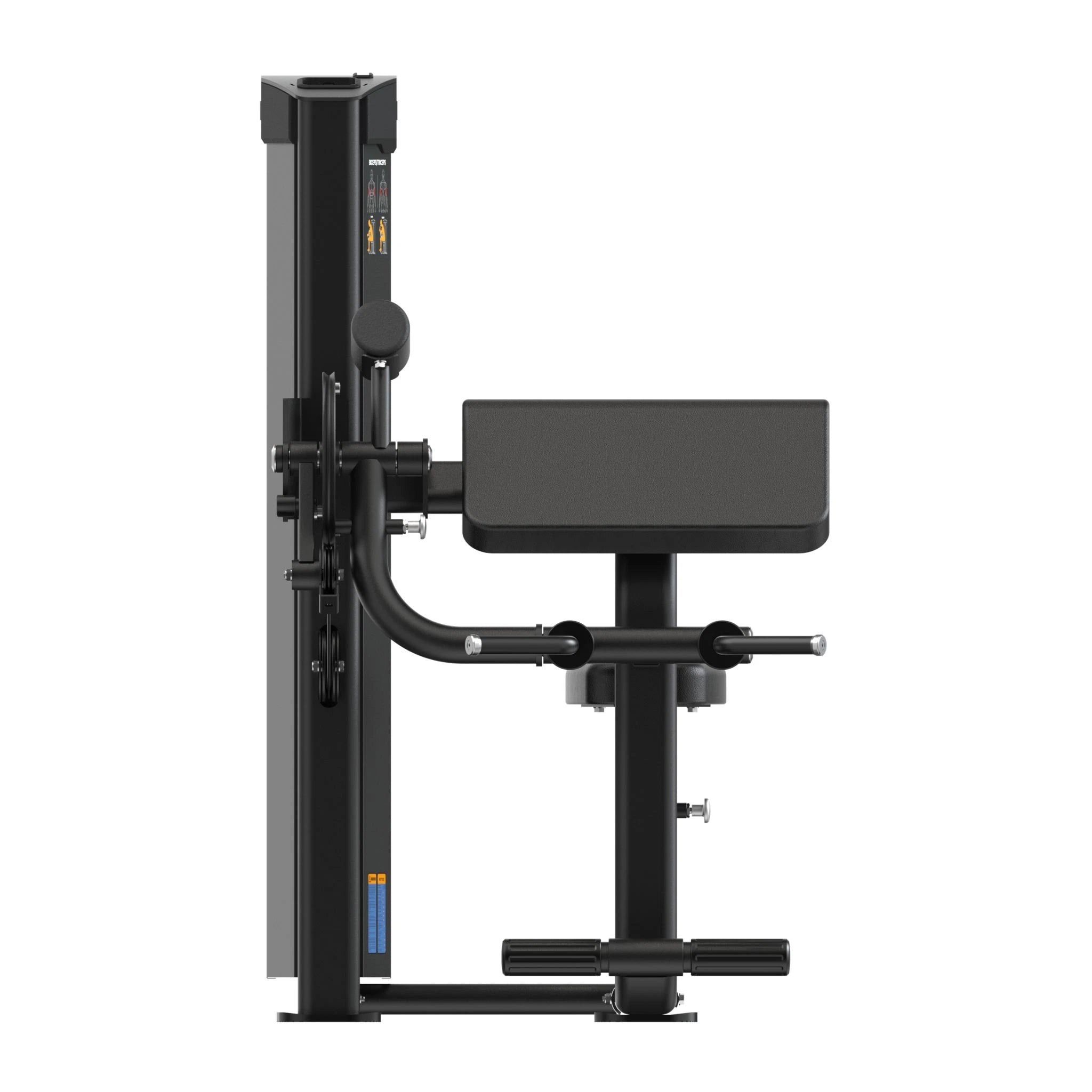 Dual Biceps & Triceps Machine IRONSIDE Elite
