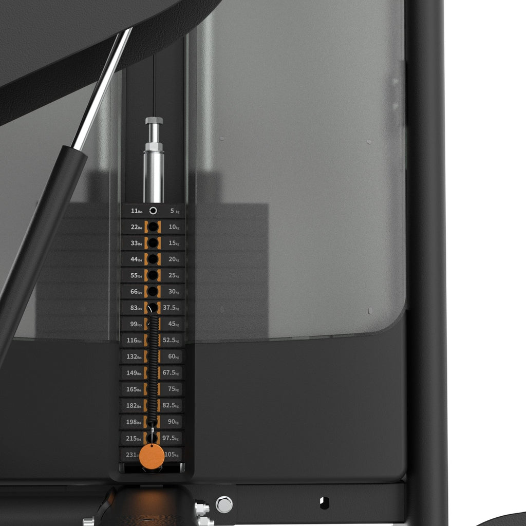 Dual Biceps & Triceps Machine IRONSIDE Luxe