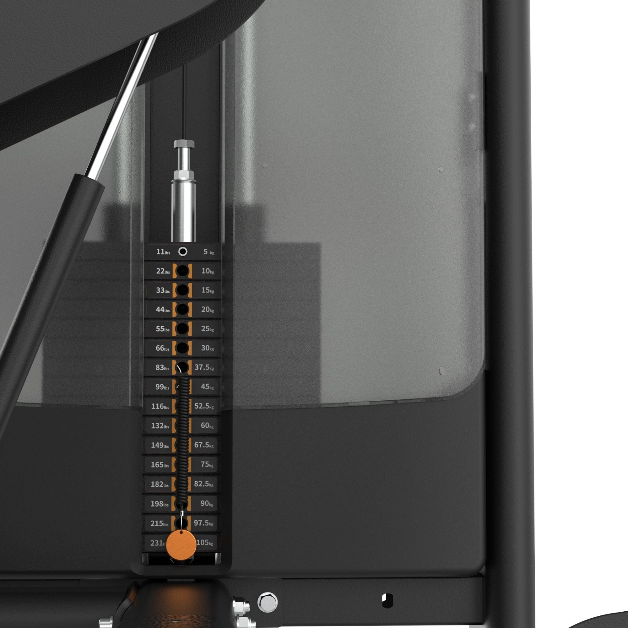 Dual Biceps & Triceps Machine IRONSIDE Luxe