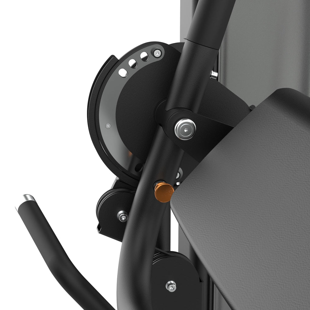 Dual Biceps & Triceps Machine IRONSIDE Luxe