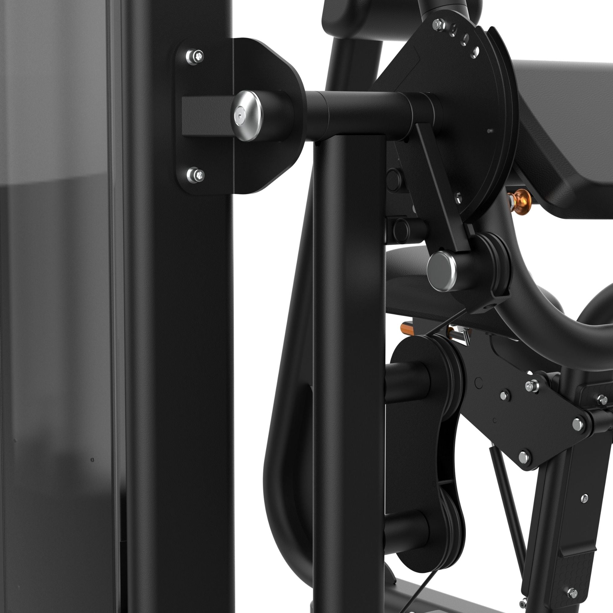 Dual Biceps & Triceps Machine IRONSIDE Luxe