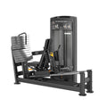 Dual Horizontal Leg Press & Hack Squat IRONSIDE Luxe